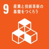 SUSTAINABLE DEVELOPMENT GOALS 9