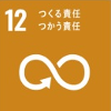 SUSTAINABLE DEVELOPMENT GOALS 12